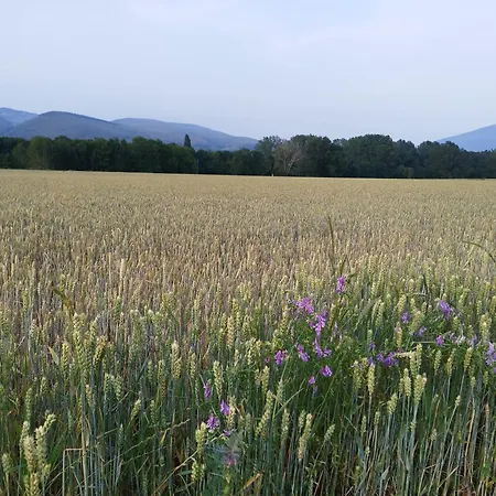 Cal Jan - Cadi Bellver De Cerdanya