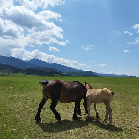 Cal Jan - Cadi * Bellver de Cerdanya